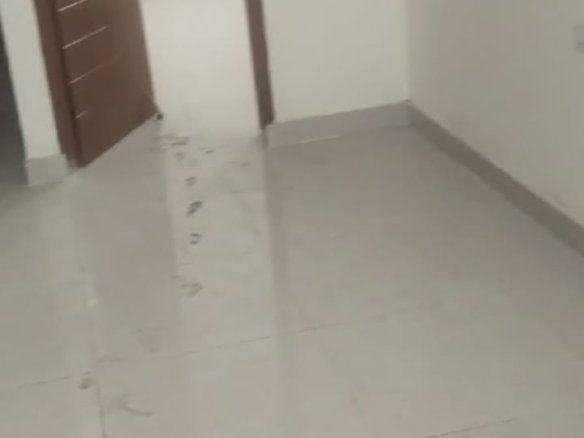 WhatsApp Image 2024 10 05 at 5.53.48 PM