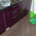 WhatsApp Image 2024 09 14 at 9.55.49 AM 1