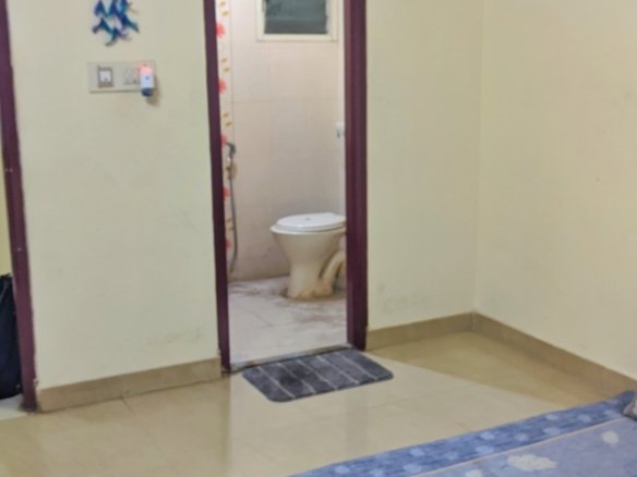 WhatsApp Image 2024 10 27 at 10.52.03 AM