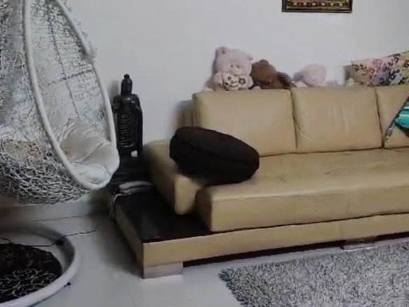 WhatsApp Image 2024 12 20 at 3.35.49 PM