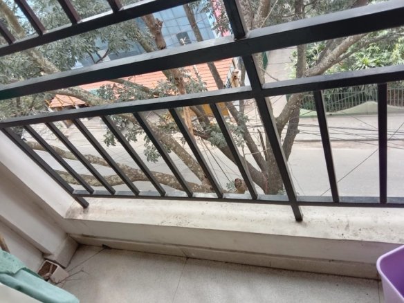 WhatsApp Image 2025 03 12 at 11.12.13 AM